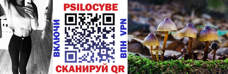 Галлюциногенные грибы Cubensis  Брянск 
